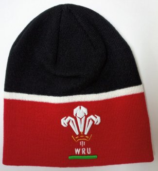 WRU 2020 Beanie